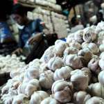 Satgas Pangan Sikat Penimbun Bawang Putih