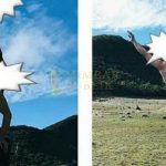 Viral, Pendaki Berpose Bugil di Taman Nasional Gn. Gede – Pangrango