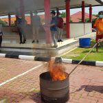 Ditresnarkoba Polda Kepri Musnahkan 163 Gram Narkotika Jenis Daun Ganja Kering