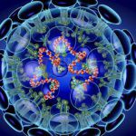 Dunia Mencatat Sekitar 83,5 Juta Kasus dan 1,8 Juta Meninggal Akibat Pandemi Covid-19