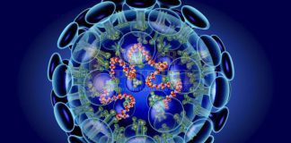 Prancis dan Jerman Berlakukan Lockdown Kembali Akibat Penularan Virus Corona Gelombang Dua