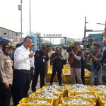 Breaking News! Menteri KKP Edhy Prabowo Ditangkap KPK terkait Ekspor Benih Lobster