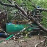 Dua Buah Rumah Warga Desa Mensanak Ditimpa Pohon Mangga