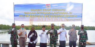 Lantamal IV Tanjungpinang Gelar Panen Raya Ikan Kerapu Keramba Jaring Apung