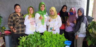 Perempuan Tani HKTI Bintan Panen Perdana Selada dan Sawi