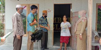 Baznas Tuba Berikan Ayam KUB Kepada 35 KK