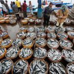 Petugas KKP Ringkus Tiga Penangkap Ikan Gunakan Racun di Morowali Sulteng