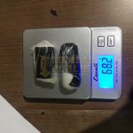 Penyelundupan Sabu Modus Jasa Burung Digagalkan Bea Cukai Batam