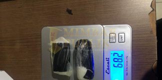 Penyelundupan Sabu Modus Jasa Burung Digagalkan Bea Cukai Batam