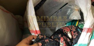 Penumpang KM Kelud Selundupkan 42.500 Ekor Benih Lobster Ilegal Penumpang KM Kelud Selundupkan 42.500 Ekor Benih Lobster Ilegal