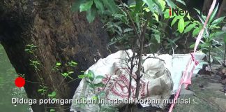 Kejam! Mayat Dimutilasi Tak Lama Setelah Dibunuh Sumber Foto : iNews