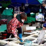 WHO Kirim Tim ke Wuhan Selidiki Asal Muasal Merebaknya Virus Corona Pasar Basah di Wuhan, diduga tempat merebaknya virus Corona | Foto : Ist