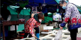 WHO Kirim Tim ke Wuhan Selidiki Asal Muasal Merebaknya Virus Corona Pasar Basah di Wuhan, diduga tempat merebaknya virus Corona | Foto : Ist