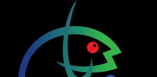 KKP Diminta Optimal Awasi Penyelundupan Benur