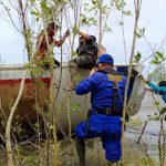 Sisa Satelit China Ditemukan Terdampar di Pantai Kumai Kalteng Foto : Istimewa