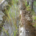 Diduga Tidak Sesuai Aspek, Proyek Rehabilitasi Saluran Daerah Irigasi Salompang Siap Dilaporkan ke APH Pekerjaan pembangunan proyek Rehabilitasi Saluran Daerah irigasi Salompang,