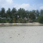 Pandemi Covid -19 Potensi Wisata Lokal Harus Lebih Dominan