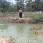 Ciptakan Ketahanan Pangan, Polsubsektor Mesuji Pusat Lakukan Budidaya Ikan Nila