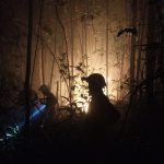 Kebakaran di Bintan Sudah Hanguskan 12 Hektar Lahan dan Hutan