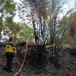 Kapolresta Barelang Tinjau Lokasi Kebakaran Hutan Depan Perum Mediterania