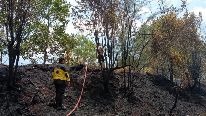 Kapolresta Barelang Kombes Pol Yos Guntur, SIK saat meninjau kebakaran di lokasi Lahan buffer zone Depan Perumahan Mediterania Jl. Sudirman Kel. Baloi Permai Kec. Batam Kota, Jumat (19/03/2021). (Foto: Dok. Mimbar Publik)