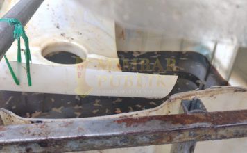 Simpan Penampungan Minyak Jelantah, Aktivis Lingkungan Kota Batam Pertanyakan Izin PT EHS