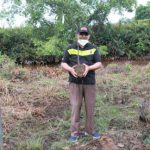 Bupati dan Wabup Bersama Kapolres Tanjung Jabung Barat Tanami Ratusan Mangrove di Desa Tungkal Satu
