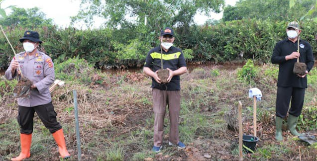 Bupati Anwar Sadat tanam ratusan Mangrove di Desa Tungkal 1 Kecamatan Tungkal Ilir, Kabupaten Tanjab Barat Provinsi Jambi, Jumat (19/3/2021). (Foto: Dok. Mimbar Publik)