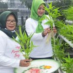 Perempuan Tani HKTI Bintan Berpotensi Panen Raya Sayur-sayuran
