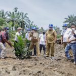 Pemkab Asahan, PT BSP dan Gapoktan Sinar Lestari Tanam Perdana Bibit Sawit