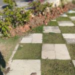 Pencemaran Taman RTH Masjid Baitul Makmur Foto : Dokumentasi Mimbarpublik.com