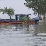 Kayu Olahan Sering Masuk ke Sawang, Tak Pernah Tersentuh Aparat Penegak Hukum Kayu Olahan Sering Masuk ke Sawang, Tak Pernah Tersentuh Aparat Penegak Hukum