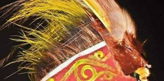 Pendeta Joop Suebu Minta Agama Tak Dijadikan Alat Politik Ketua Persekutuan Gereja Gereja Jayapura (PGGJ) Pendeta Joop Suebu