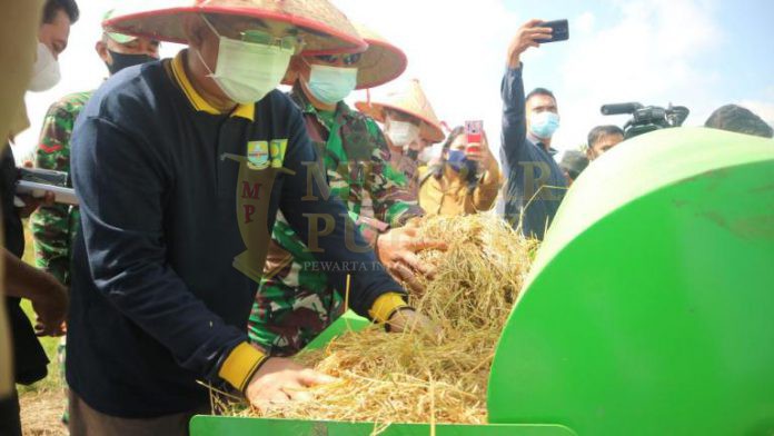 Bupati Tanjab