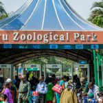 Delapan Singa di Kebun Binatang India Terbukti Covid-19