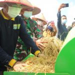 Bupati Anwar Sadat, Panen Padi Bersama Kelompok Tani BERKAH di Desa Pembengis Bupati Tanjab Barat, Anwar Sadat Panen Padi Bersama Kelompok Tani BERKAH di Desa Pembengis