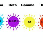 Sebanyak 300 Jurnalis di Brazil Meninggal Akibat Covid-19