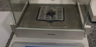 Anjing K-9 Bea Cukai Batam Deteksi Narkoba, Dua Bungkus Ganja Sukses Diamankan Dua bungkus ganja seberat 1,0508 gram