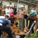 Bupati Anwar Sadat Secara Seremonial Penyembelihan Hewan Qurban Bupati Anwar Sadat melakukan penyembelihan satu ekor sapi qurban di Rumah Dinas, selasa (20/07/21).