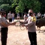 Satbrimob Polda Kepri Potong 5 Kurban Untuk Masyarakat Tidak Mampu Satbrimob Polda Kepri Potong 5 Kurban Untuk Masyarakat Tidak Mampu