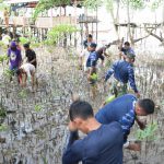 Peduli Lingkungan, Lanud Hang Nadim Tanam 5 Ribu Bibit Manggrove di Pantai Terih Nongsa
