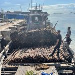 Penyeludupan 10.810 Batang Kayu Berhasil Digagalkan Bea Cukai Batam