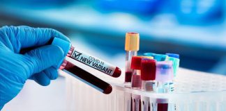 Varian Lambda, Jenis Virus Corona yang Lebih Tahan Vaksin Ilustrasi Varian Lambda | Foto: Istimewa