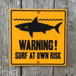 Seorang Peselancar Tewas Digigit Hiu di Pesisir Timur Australia