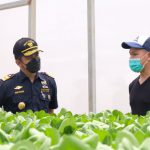 Dukung Pelaku Usaha Tembus Pasar Global, Bea Cukai Batam Kawal Ekspor Sayuran Hidroponik