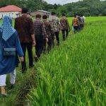 Sengketa Tanah Warisan, Sepupu Saling Gugat