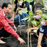 Kunjungi Batam, Presiden Tekankan Pentingnya Merawat dan Memelihara Hutan Mangrove di Tanah Air Presiden Joko Widodo saat menanam pohon mangrove bersama masyarakat di Pantai Setokok, Kecamatan Bulang, Kota Batam, Provinsi Kepulauan Riau, Selasa (28/09/2021).