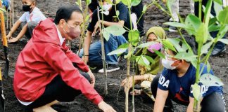 Kunjungi Batam, Presiden Tekankan Pentingnya Merawat dan Memelihara Hutan Mangrove di Tanah Air Presiden Joko Widodo saat menanam pohon mangrove bersama masyarakat di Pantai Setokok, Kecamatan Bulang, Kota Batam, Provinsi Kepulauan Riau, Selasa (28/09/2021).