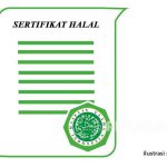 Masuki Babak Baru, Kini Obat, Kosmetik, dan Barang Gunaan Wajib Bersertifikat Halal Foto: Ilustrasi