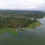 PT TDK Electronics Indonesia Bekerja Sama dengan Badan Pengusahaan Batam Gelar Penanaman Pohon